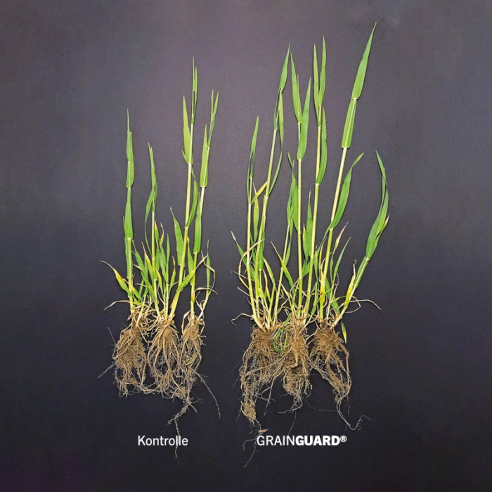 8023_2_GrainGuard-BIO_Kontrolle-Links-Grainguard-rechts_M.jpg